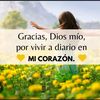 yolanda_rn.ram