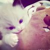idaa_825