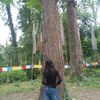 amsusarusharma