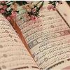 amira.rabi6