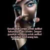 bucin.com02