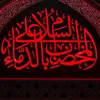 zm_fg20