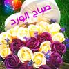 ahmedmekideche1