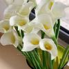 asma.sallm