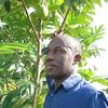 siyangu7