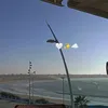 assai____hd