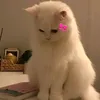 vvvvi617