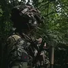 alpha.wolf16
