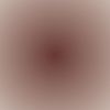 starr2562