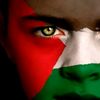 mohmmedabdallah87