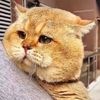 jamilmil47