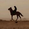 kings_lami