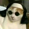 podenao8