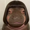 kvy_oi1_15