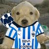 walter.guillermo88