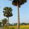 tahsinun.huq