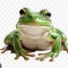 baomoi05