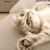 miss.m.mousawi20073