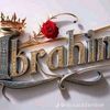 user8119541949157
