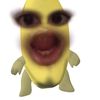 novistamalau
