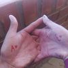 de.mi.esposita.aydee