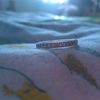 dandy_pizdec