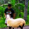 rifki.maulana789