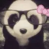 flavi.x50