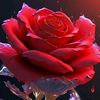user4343628113840