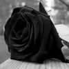 nestplusdisponible