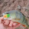 fishing_tv66