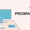 programmer559