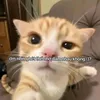 only_tiny_gwen