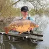 l_swanny12
