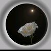 gujjar0943h