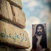 shahd20156