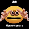 aniem_