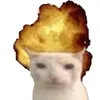 nie00015