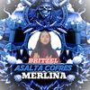 brii3335