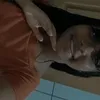 delianealvesda970
