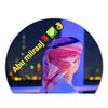 user1233556899yt9