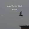 muhammad.imran4072