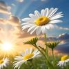 nour.mohammad24