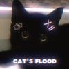 cats_floodd