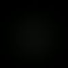 00000.k24