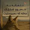 dnsnddji6dt