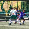 fernandoacioli8