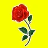 user5248380802332