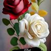 morteza.shiri2