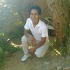grego6261